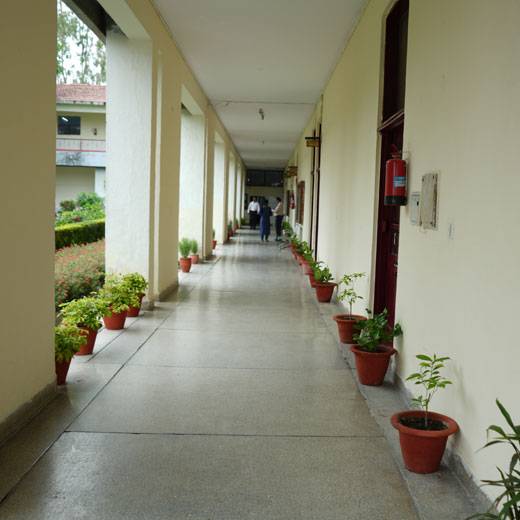 Campus